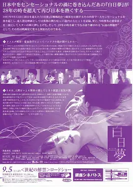 南风知我意 都市情感剧全集观看